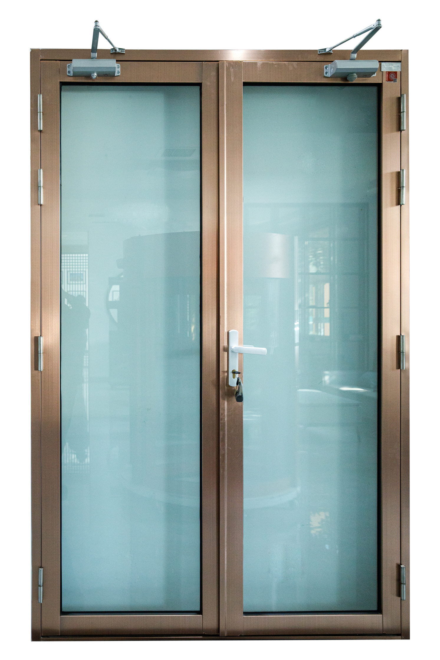 Modern Double Swing Aluminum Casement Door Feature 10