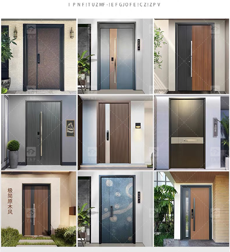 Door Design 8