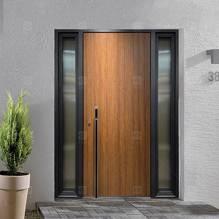 Door Design 5