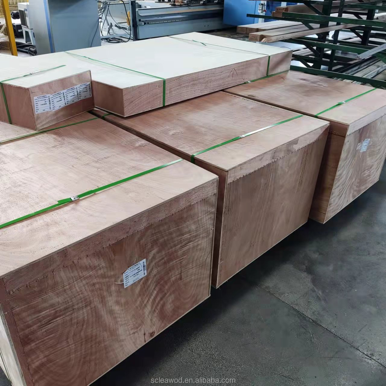 Packaging Process 2