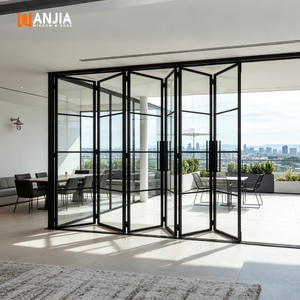Commercial Ultra Slim Folding Door