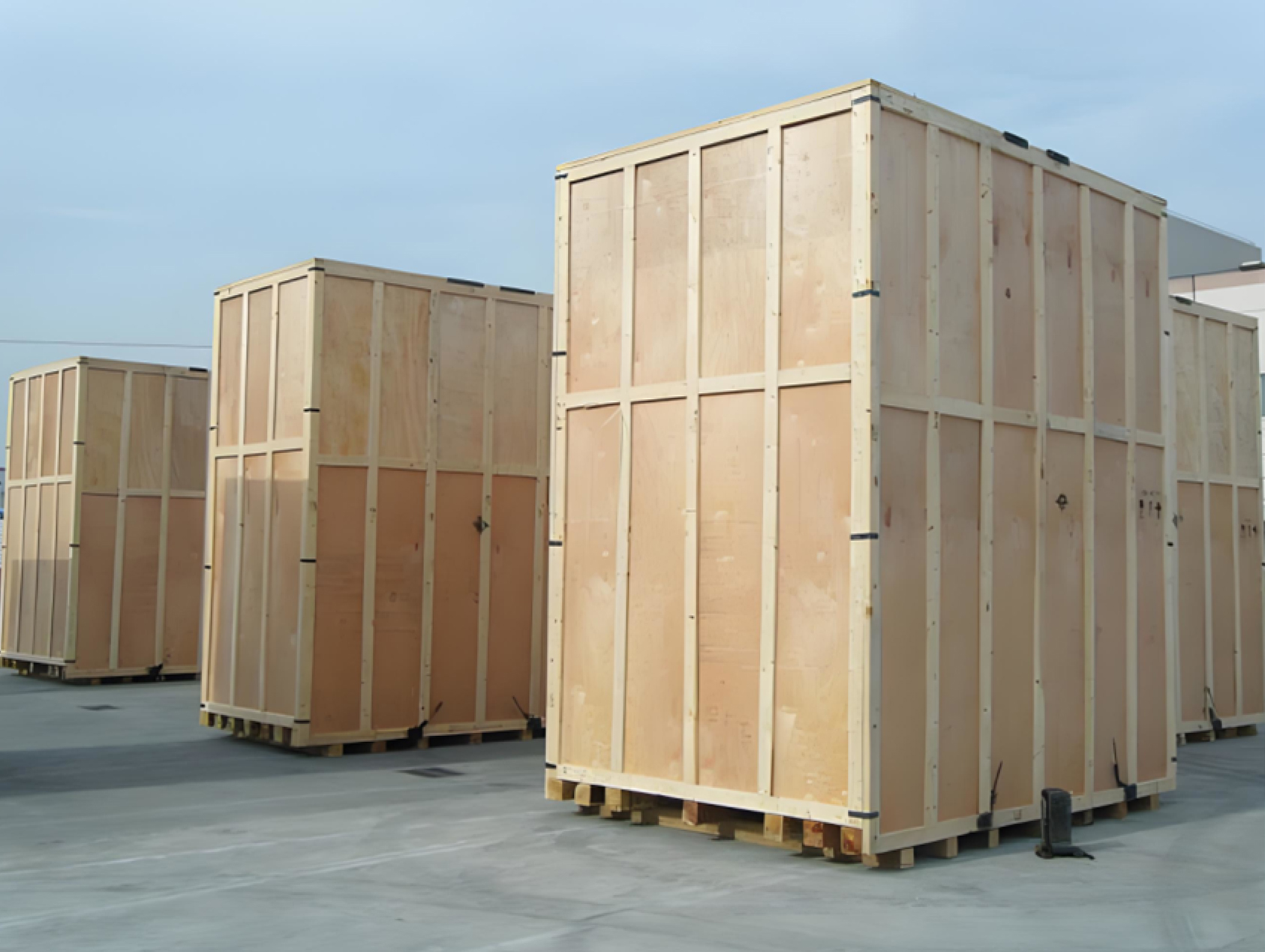 Wooden Case Packaging 1