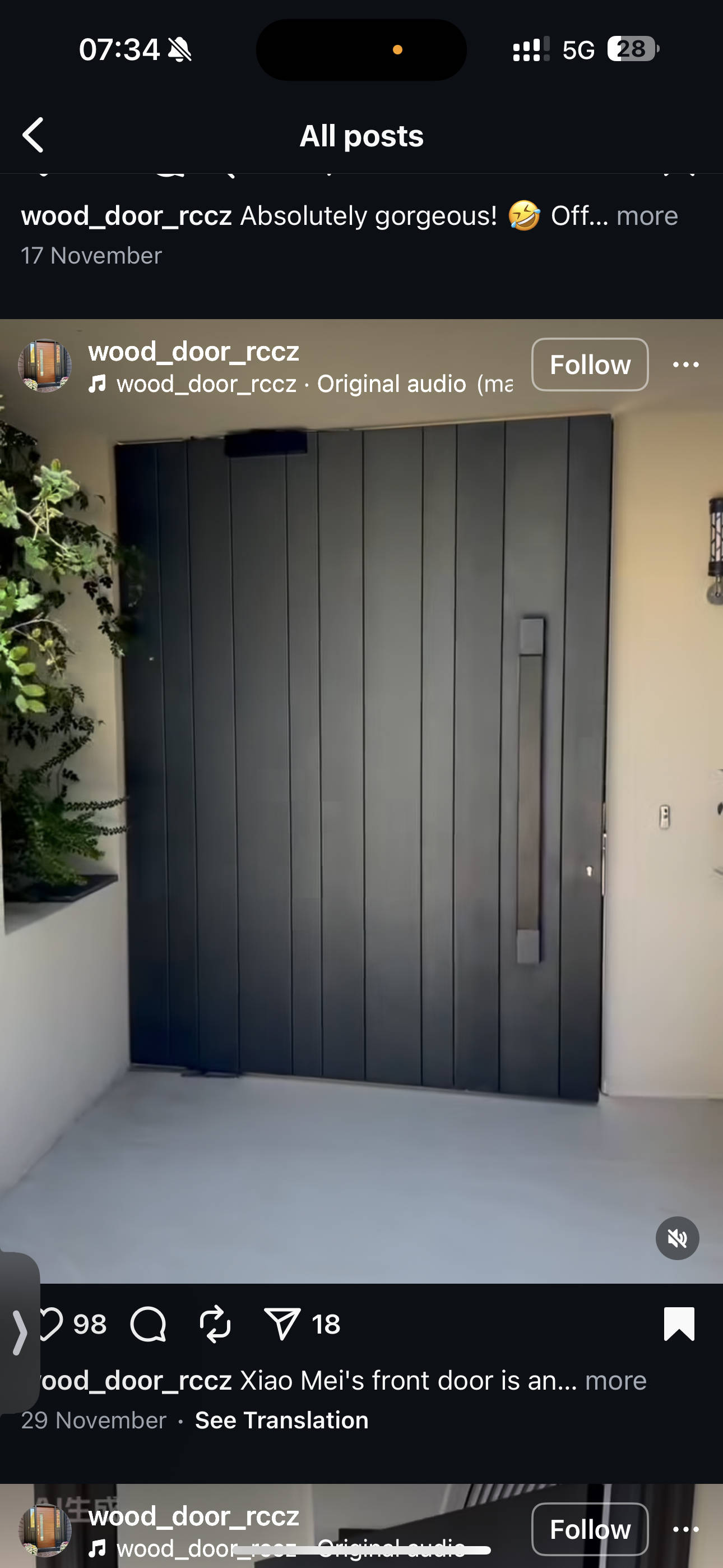 Minimalist Aluminum Pivot Door System Custom Made