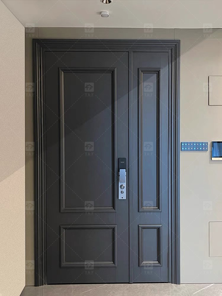 Door Design 1