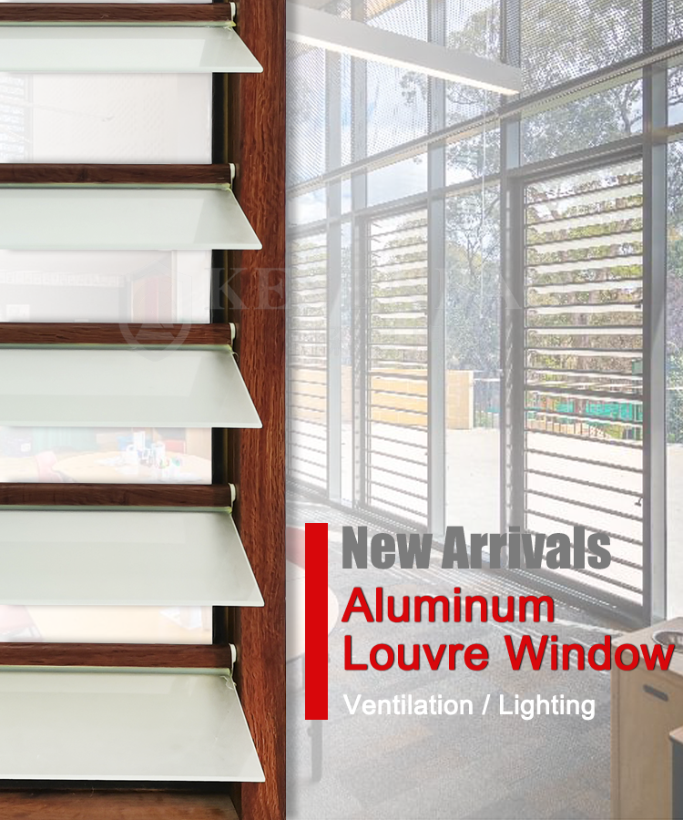 Aluminum Glass Louvre Architecture View