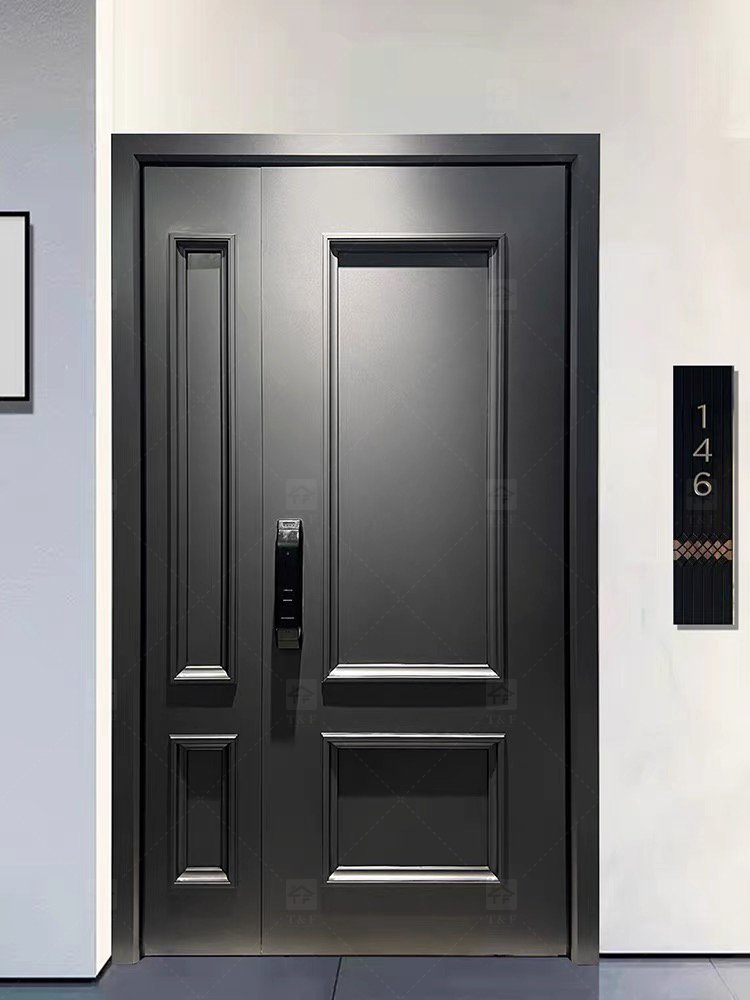 Door Design 3