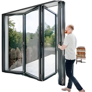 DEMEA American Project Aluminium Folding Door Entrance Front Alloy Aluminium Doors Black Hurricane Impact