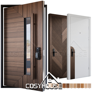 Luxury Modern Aluminum Exterior Door Luxury Pivot Entrance Door