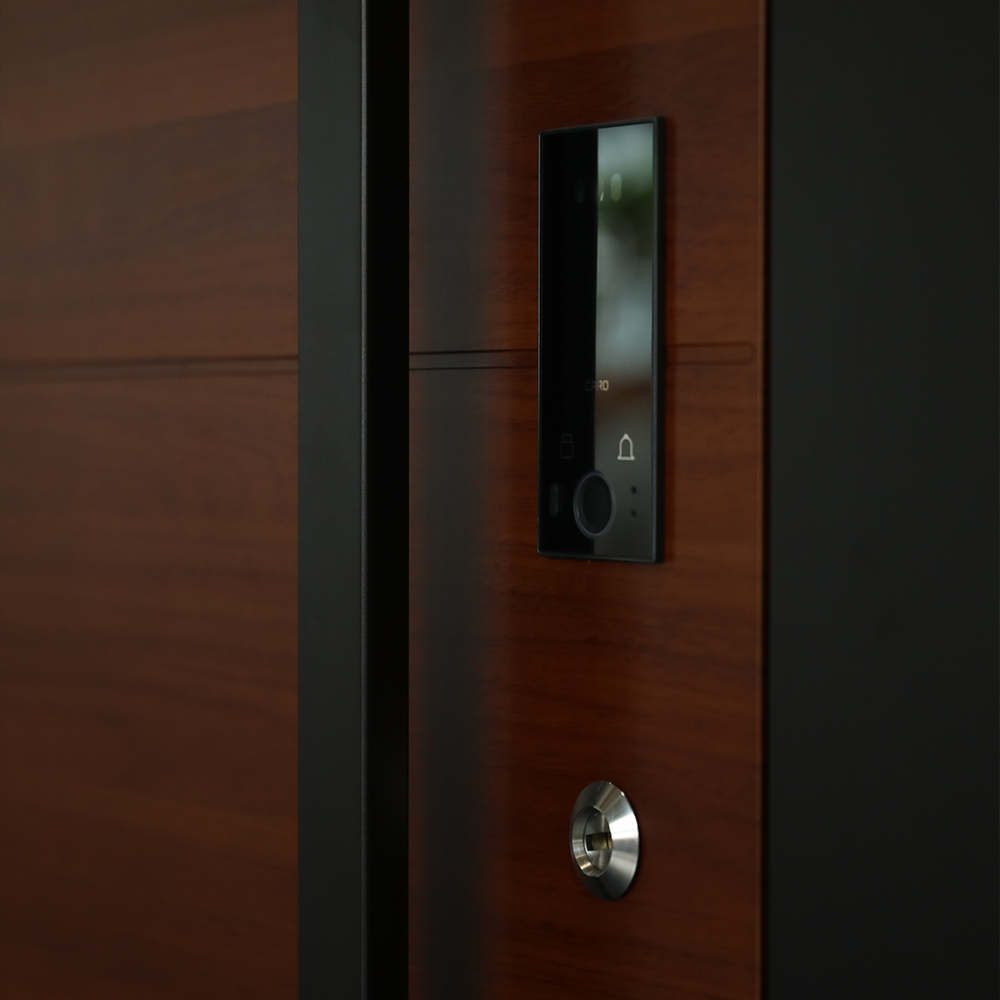 Door Structure Overview