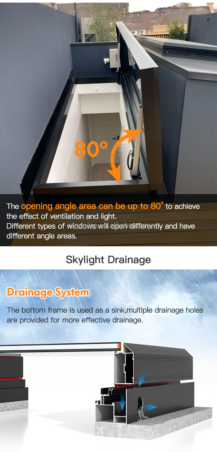Skylight Display 6