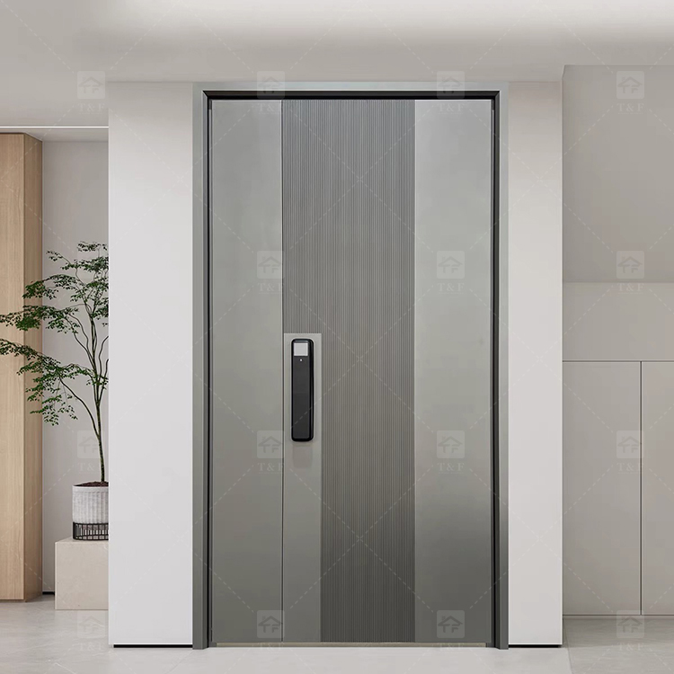 Door Design 4