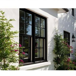 Sunnysky American Style Building Rain Proof Thermal Break Single Double Hung Glass Residential Windows For Houses