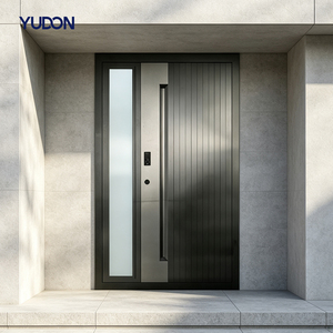 Luxury Aluminum Glass Door Main Entrance Single Leaf with Video Intercom