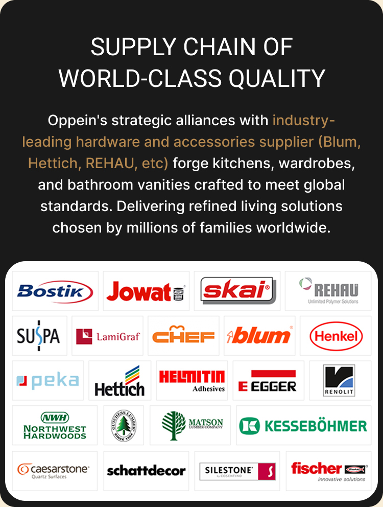 OPPEIN project case study 4