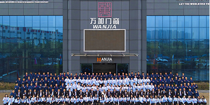 Our Professional Team